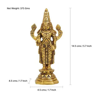 Earth Balaji Perumal Idol